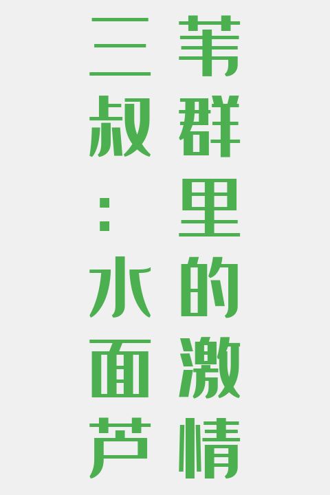 三叔：水面芦苇群里的激情