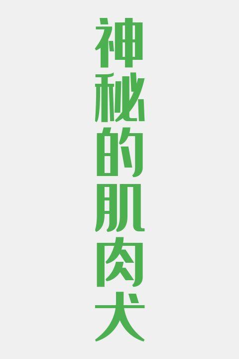 神秘的肌肉犬